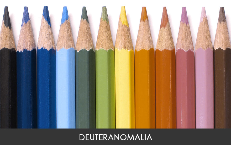 Vision de los colores segun los distintos tipos de daltonismo