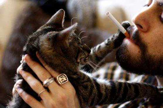 Fumar también es malo para tu gato