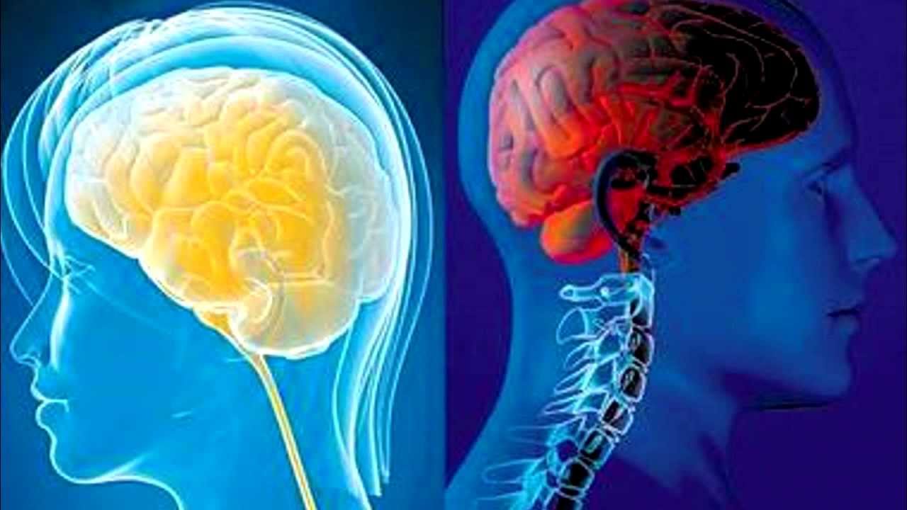 El ser humano ya utiliza su cerebro al 100%