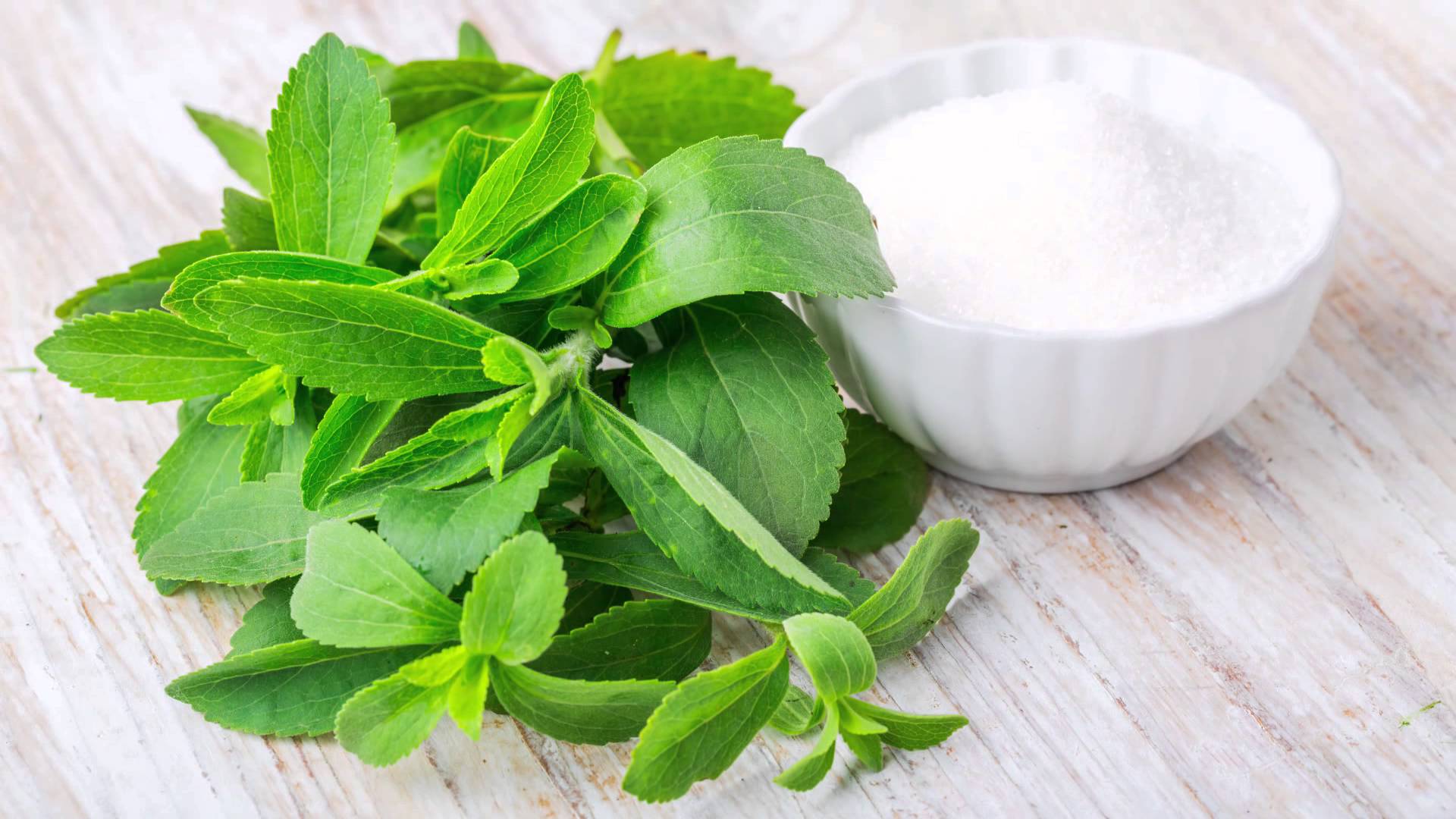 ¿Cuál es el origen de la stevia?