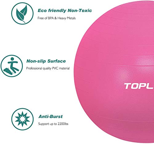 TOPLUS Pelota de Gimnasia Anti-Reventones Bola de Yoga Pilates y Ejercicio Balón para Sentarse Balon de Ejercicio para Fitness 300 kg con Bomba de Aire 65cm (Plata)