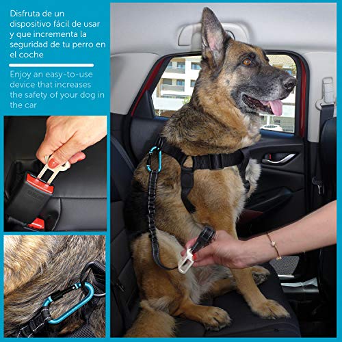 Cinturón de seguridad extensible para arnés de perro. Previene lesiones de mascota en coche por su correa elástica, mosquetón resistente y ligero con cierre de seguridad (Grande - Mediano (M - L - XL)
