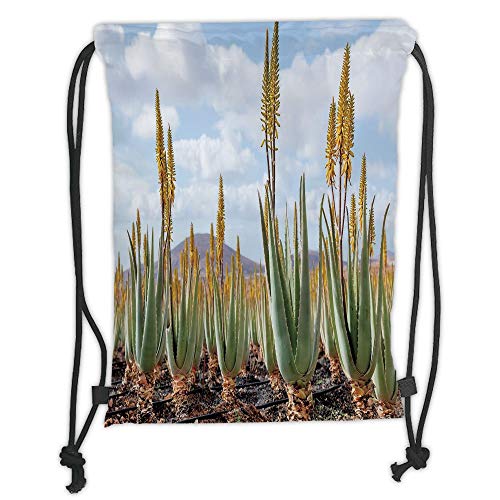Fevthmii Drawstring Backpacks Bags,Plant,Photo from Aloe Vera Plantation Medicinal Leaves Remedy Fuerteventura Canary Islands Decorative,Multicolor Soft Satin,5 Liter Capacity,Adjustable St