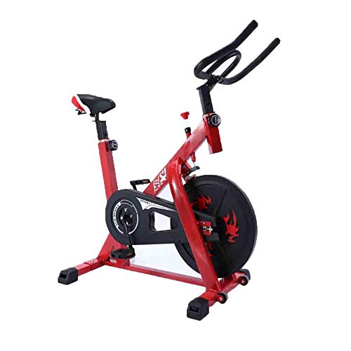 GLXYFC Bicicleta estática de spinning Bike Mute regalo para el hogar, bicicleta deportiva para pérdida de peso, bicicleta profesional, equipo de fitness profesional en casa, color rojo