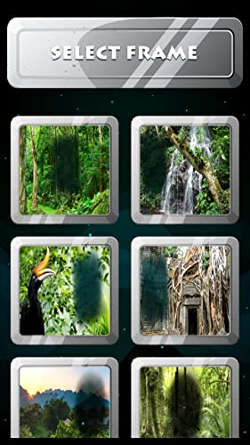 Marcos de fotos de Jungle Forest