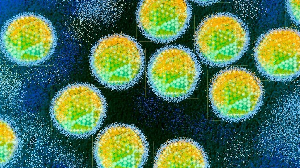 El virus del resfriado común podría ser anterior a los humanos modernos, según el ADN antiguo