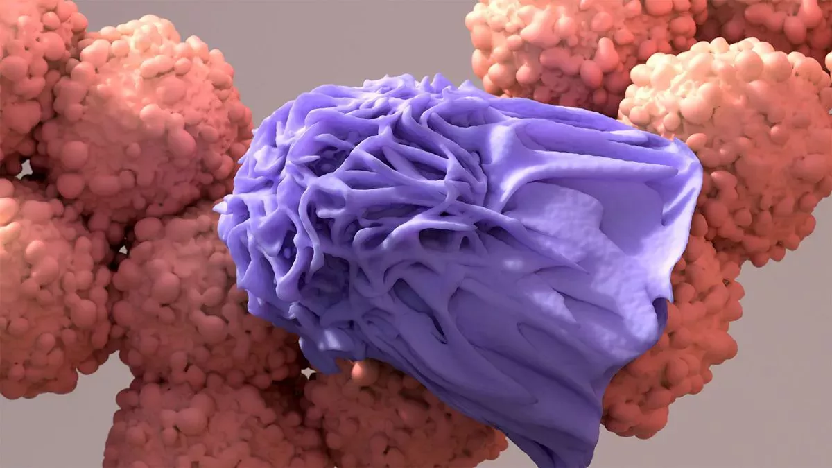 ¿Qué les ocurre a las células cancerosas después de ser eliminadas por los tratamientos?