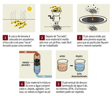 ¿Sabes por qué la cáscara de plátano adelgaza?