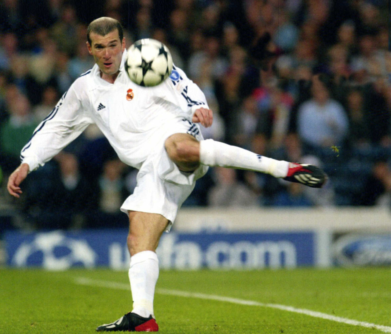 Zinedine Zidane