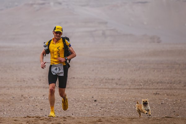 Gobi, el perrito que acompañó a un atleta