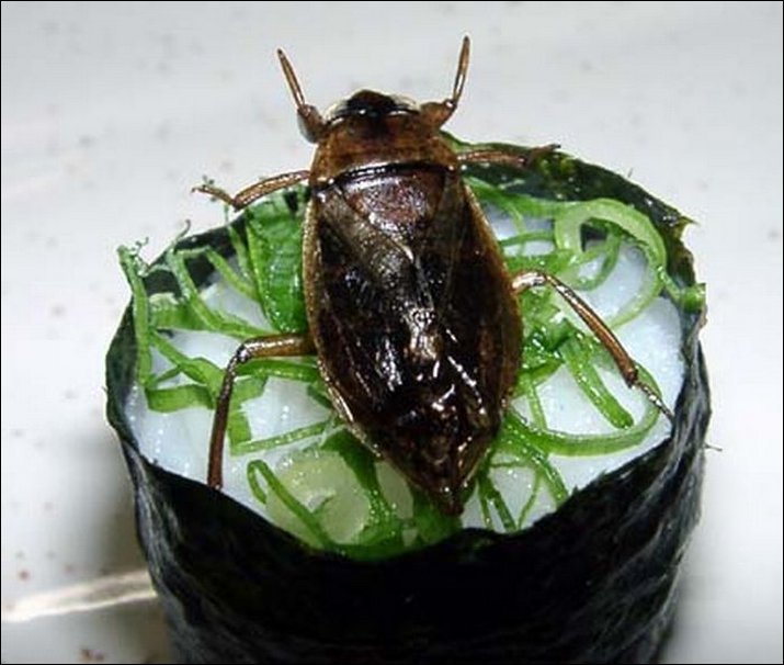 Sushi con insectos... ¿Una nueva moda?