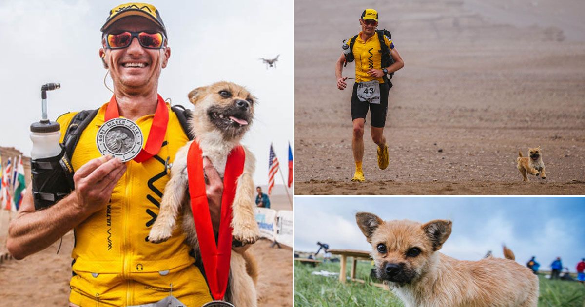 Gobi, el perrito que acompañó a un atleta