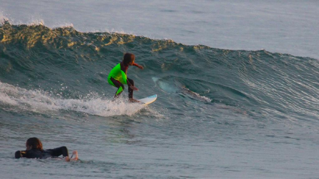 Niño de 10 años surfea sobre tiburón blanco 