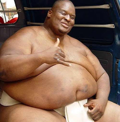 Los luchadores de sumo mas gordos