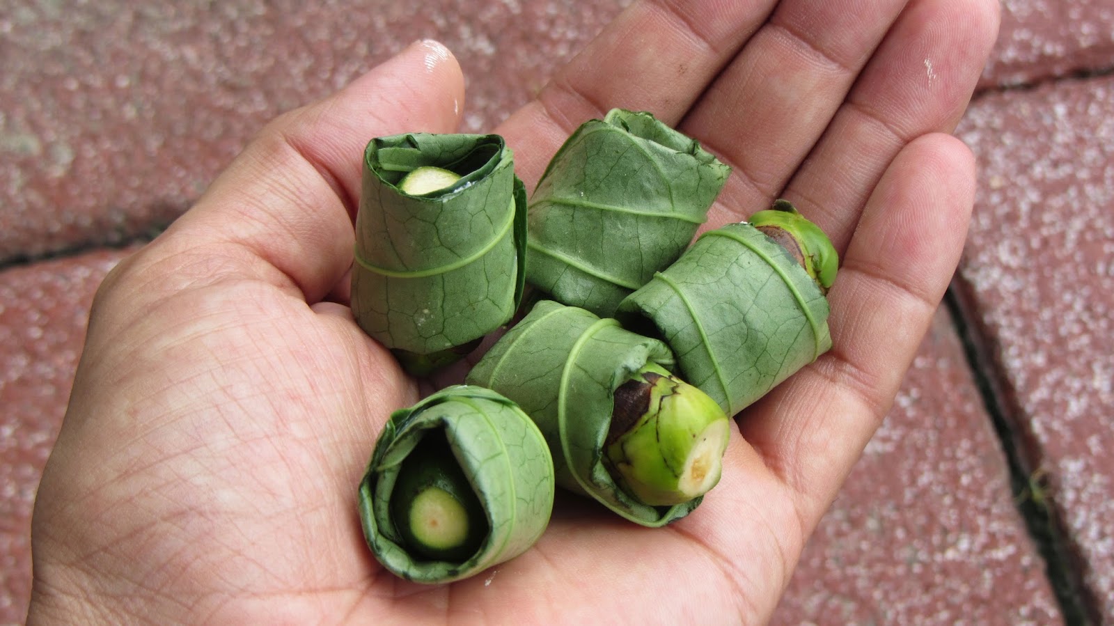 Personas consumiendo nuez de betel 