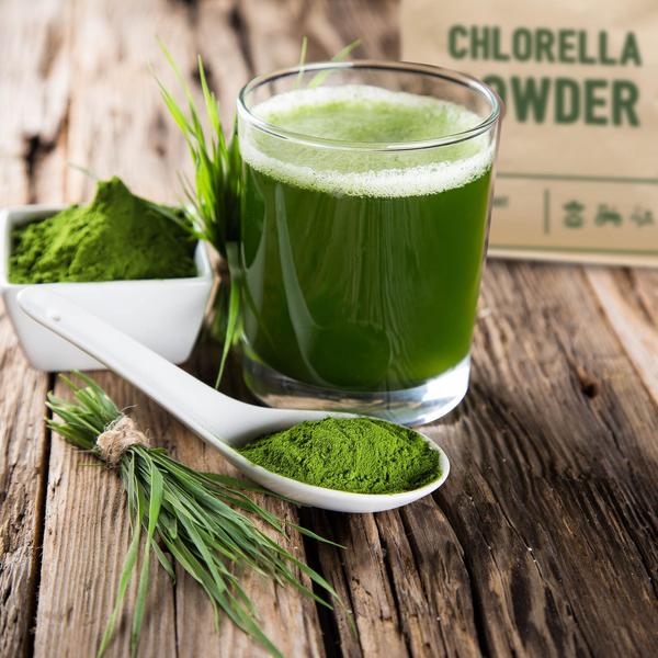 Chlorella