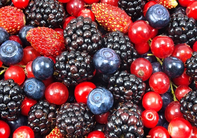 Los alimentos que no pueden faltar en tu dieta Los alimentos que no pueden faltar en tu dieta