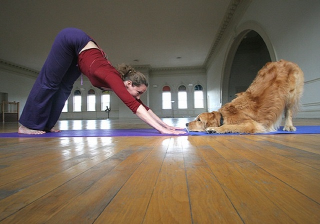 Hacer yoga con mascotas