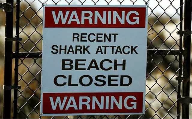 Vídeo del nadador atacado por un tiburón en California 