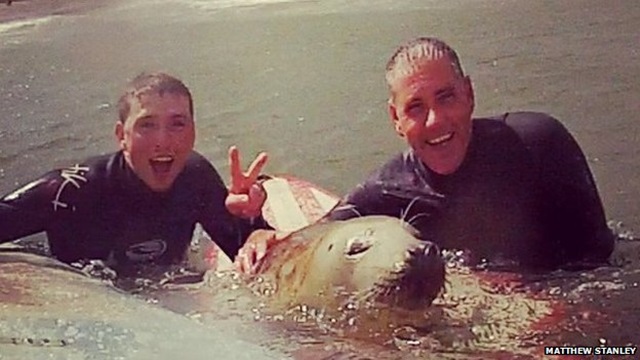 El vídeo de la foca surfera El vídeo de la foca surfera