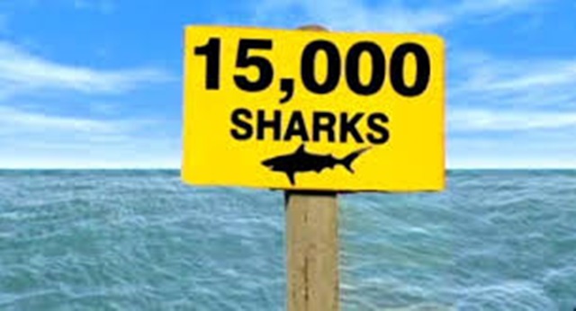 Si quieres seguir entero, mejor no te pongas a nadar en esta playa Si quieres seguir entero, mejor no te pongas a nadar en esta playa