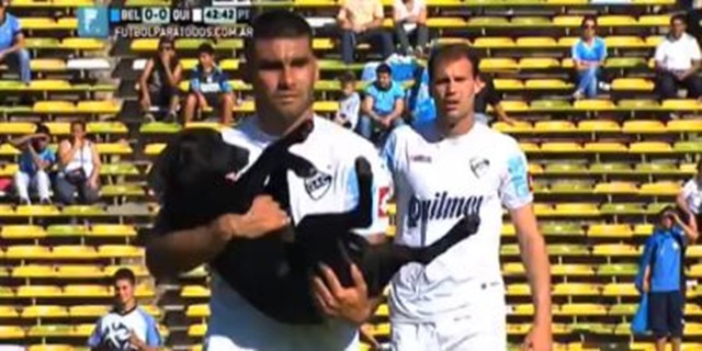 Este perro se coló en un partido de la Liga argentina