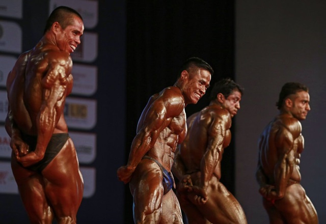 Flipa con los cuerpos de los campeones del culturismo