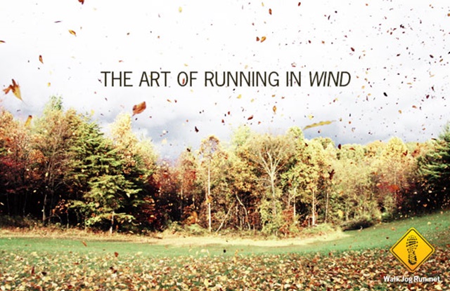 Consejos para correr cuando hay viento Consejos para correr cuando hay viento