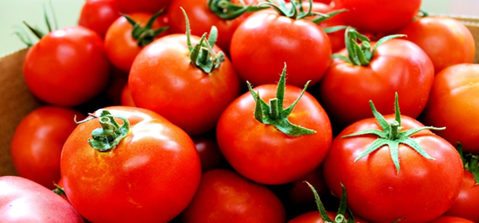 Cinco alimentos que se conservan mejor fuera de la nevera Cinco alimentos que se conservan mejor fuera de la nevera