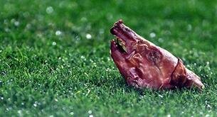Los objetos más raros que han acabado en un campo de fútbol