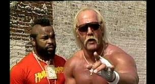 Hulk Hogan despedido de la WWE por racista