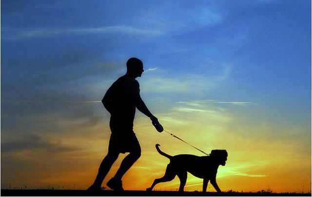 Por qué no hay nada mejor que salir a correr con tu perro