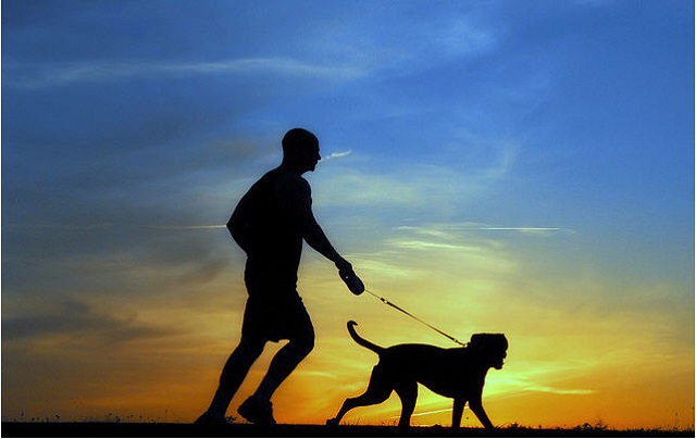 Por qué no hay nada mejor que salir a correr con tu perro Por qué no hay nada mejor que salir a correr con tu perro