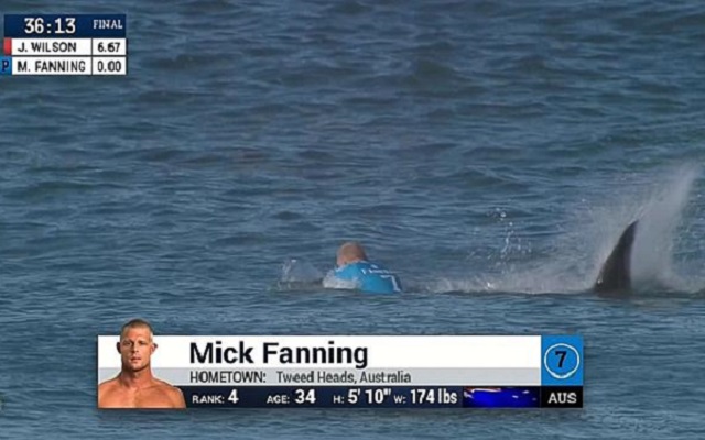 ¡El surfista Mick Fanning atacado por un tiburón en directo!