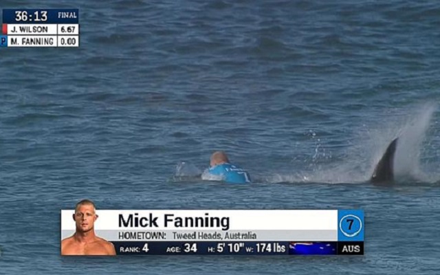 ¡El surfista Mick Fanning atacado por un tiburón en directo! ¡El surfista Mick Fanning atacado por un tiburón en directo!