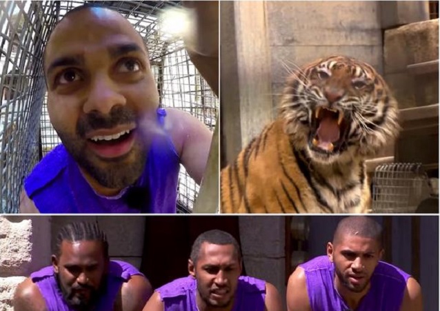 ¡Tony Parker encerrado en una jaula con un tigre!