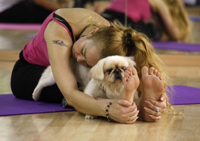 Los beneficios del Doga: ¡Entrenar con tu mejor amigo!