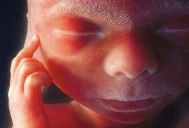 Cómo la música en la vagina de la madre estimula el feto durante el embarazo Cómo la música en la vagina de la madre estimula el feto durante el embarazo