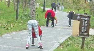 Caminar a cuatro patas: la última revelación del entrenamiento