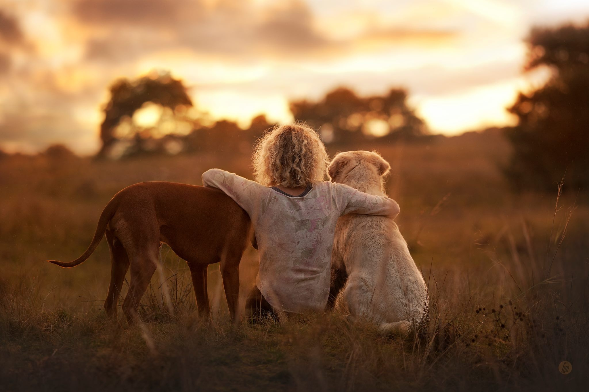 Los 5 mayores beneficios de tener perro