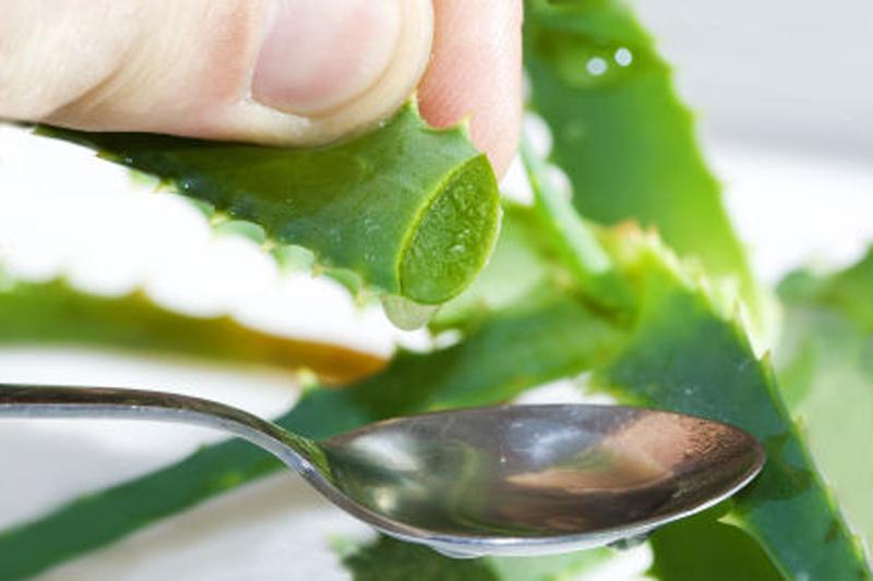 calorias aloe vera