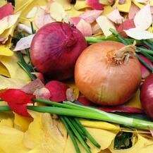 7 Sorprendentes beneficios de las cebollas