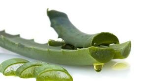 Los sorprendentes beneficios del aloe vera