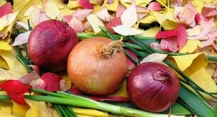7 Sorprendentes beneficios de las cebollas