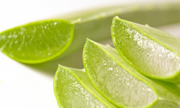 aloe vera para comer