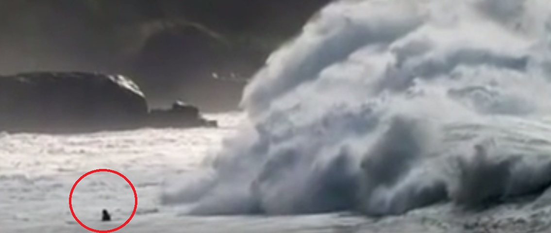 Kelly Slater, campeón surfista, salva de ahogarse a un bebé y a su madre