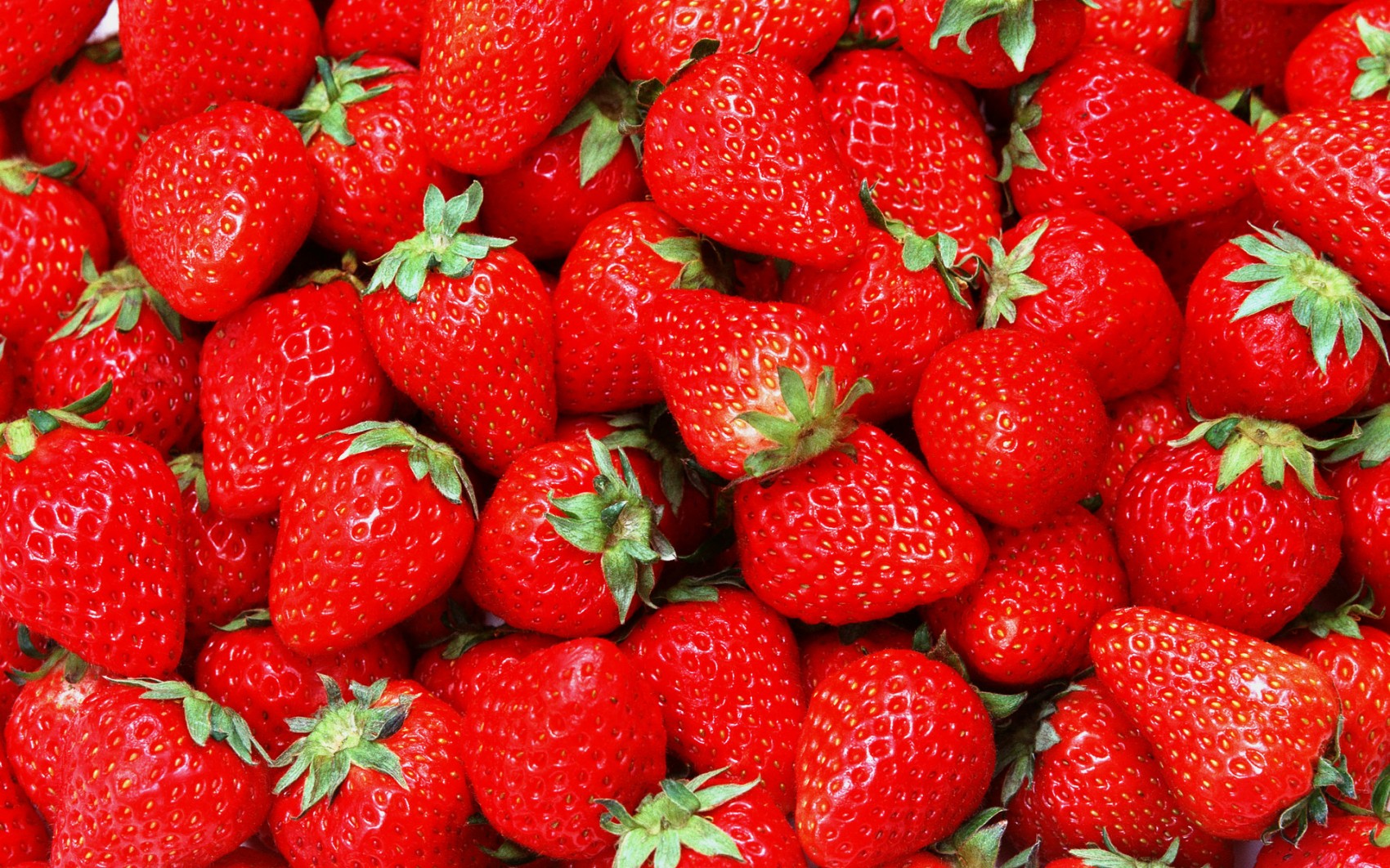 fresas