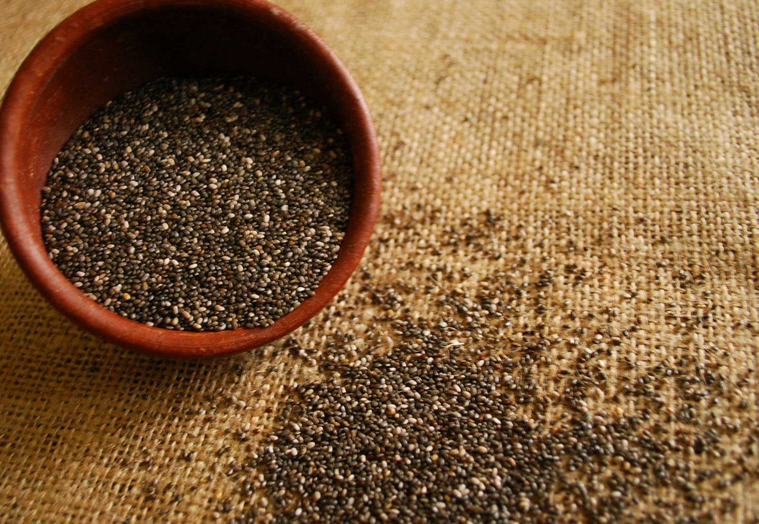 Las mentiras sobre las semillas de chia Las mentiras sobre las semillas de chia