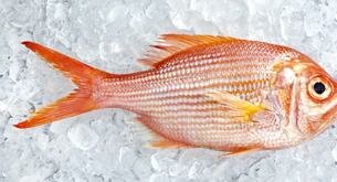 Los pescados con más vitamina D