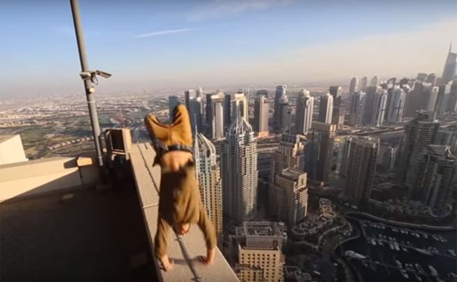 Acrobacias sobre un hoverboard a punto de la muerte Acrobacias sobre un hoverboard a punto de la muerte